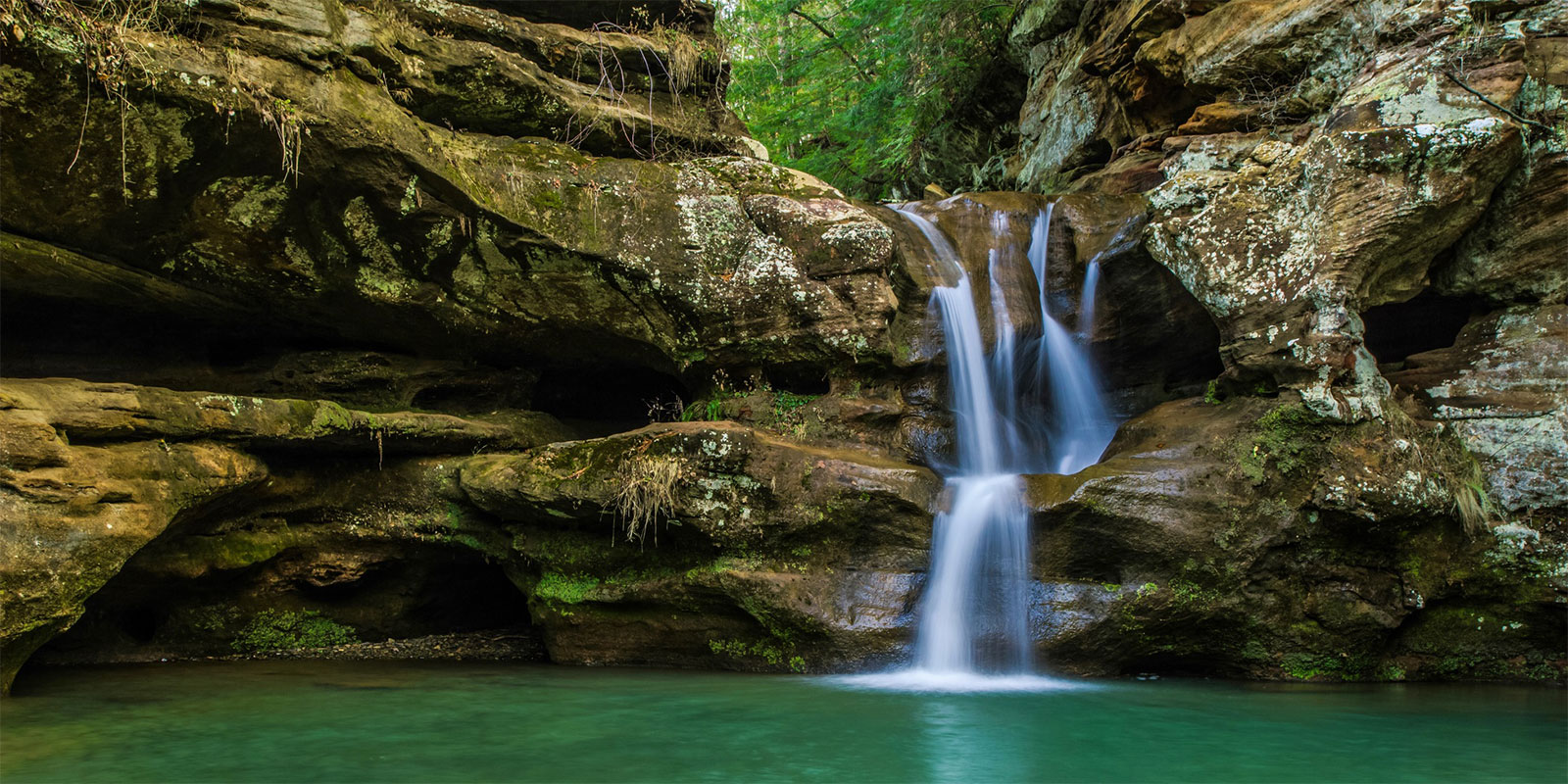 Hocking Hills forest